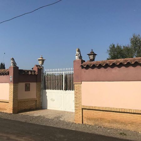 Villa Pilonga Dos Hermanas Extérieur photo